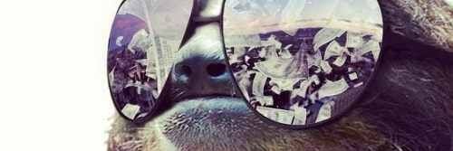 MasChivo's profile banner image