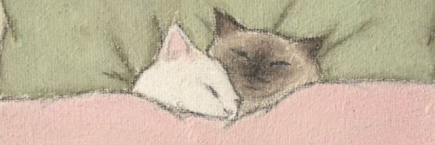 SecoCarmen's profile banner image