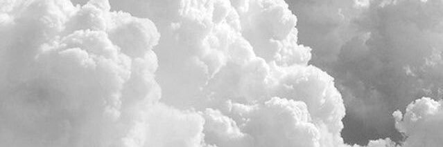 taxxrl's profile banner image