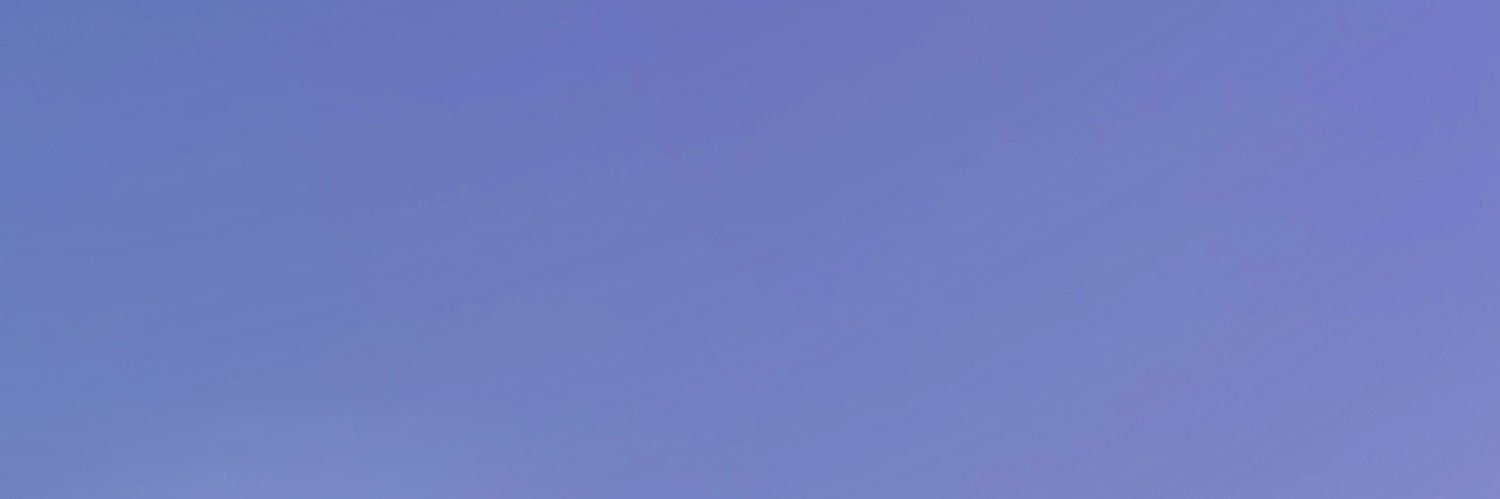 NevesSusanne's profile banner image