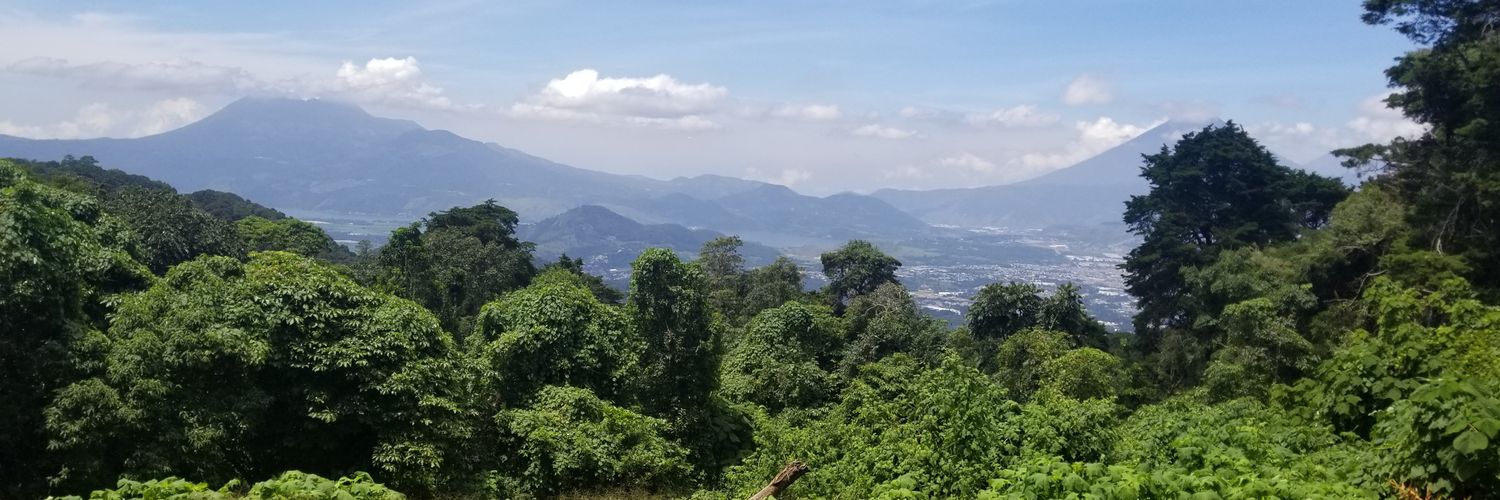 MarlisaBG's profile banner image
