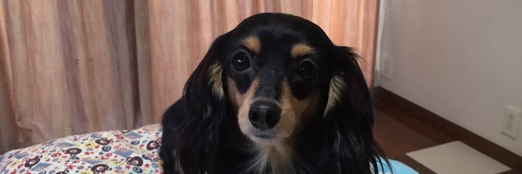 funachan0730's profile banner image