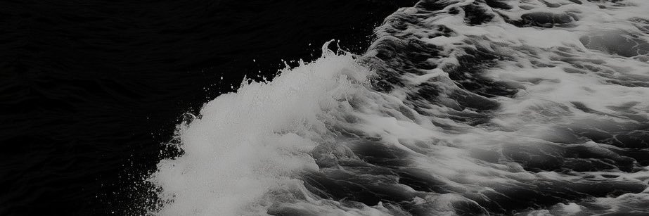 i don’t like banana banner