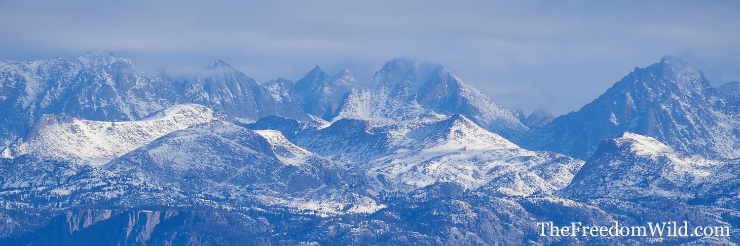 TheFreedomWild's profile banner image