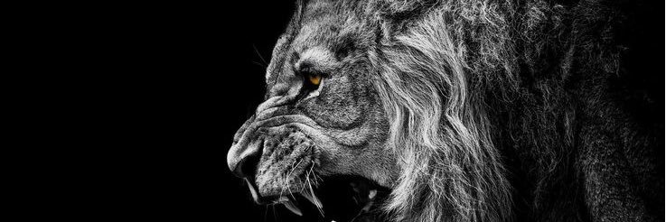 JoshCruz43's profile banner image