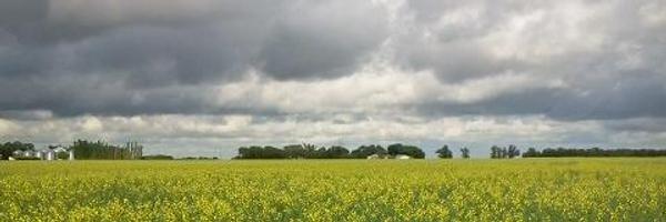 davidkoster33 Profile Banner