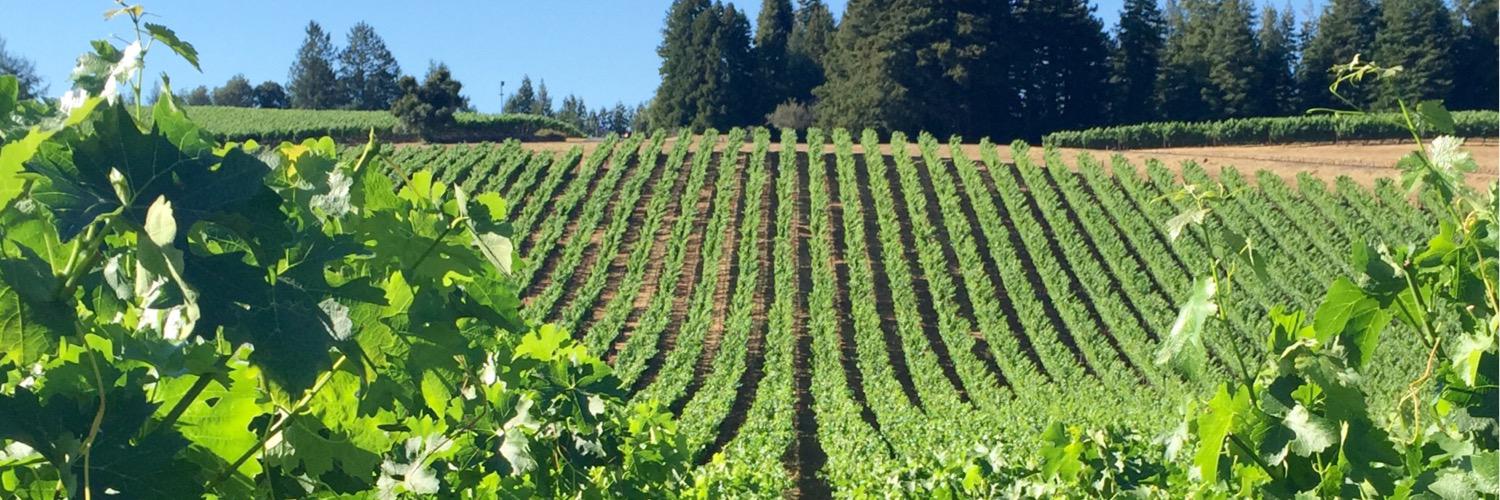 ReserveWineTour's profile banner image
