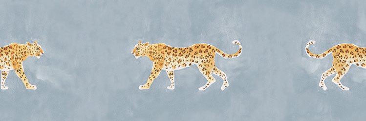 claudia_trout's profile banner image