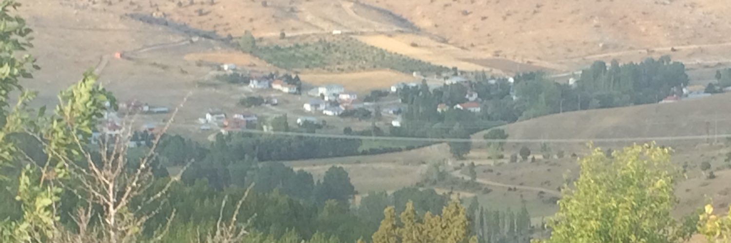 zeynur38's profile banner image