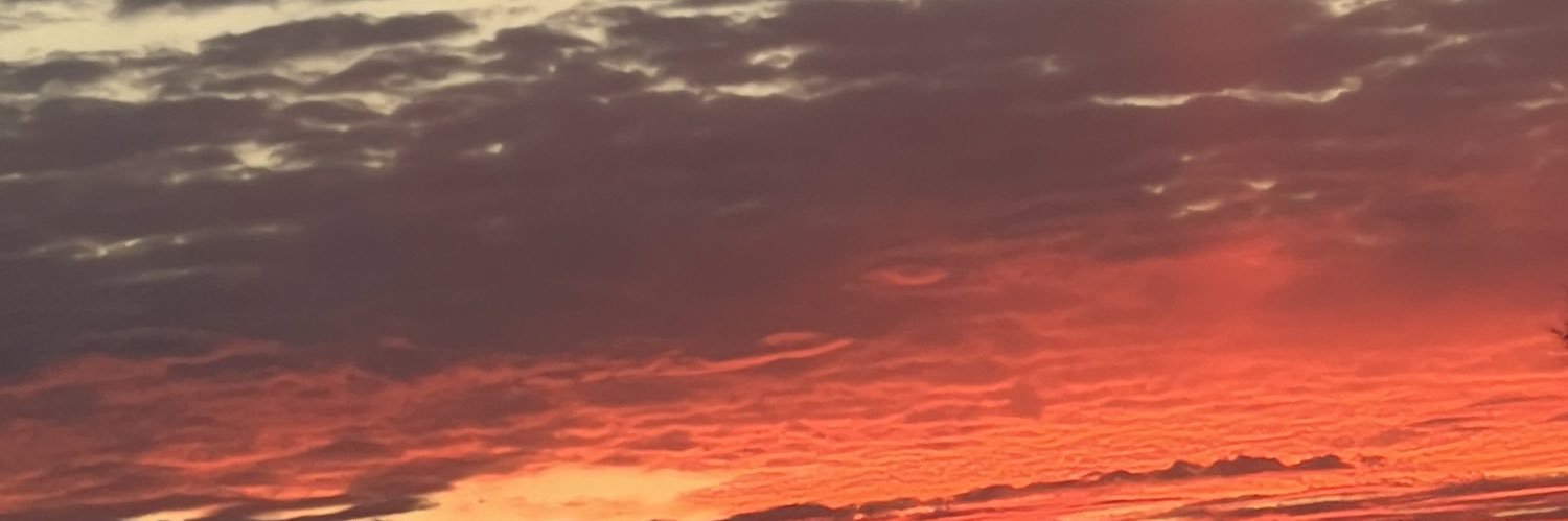 ohhthatssteee's profile banner image