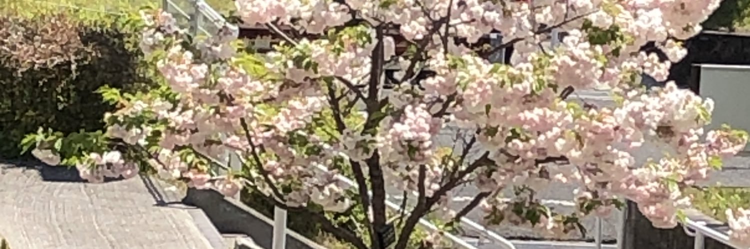 むらみ | 5/6東3・み19a banner