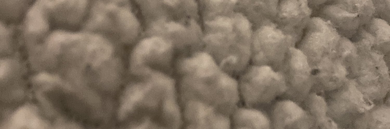 EHErremans's profile banner image