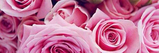 hersilea's profile banner image