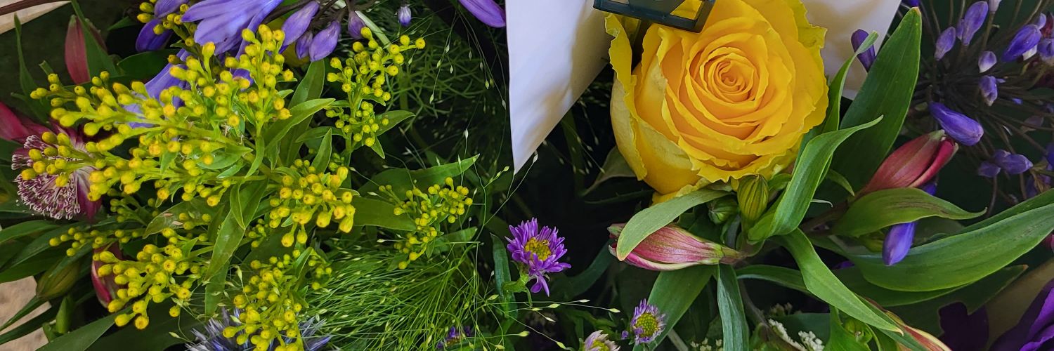 JoStevens2's profile banner image