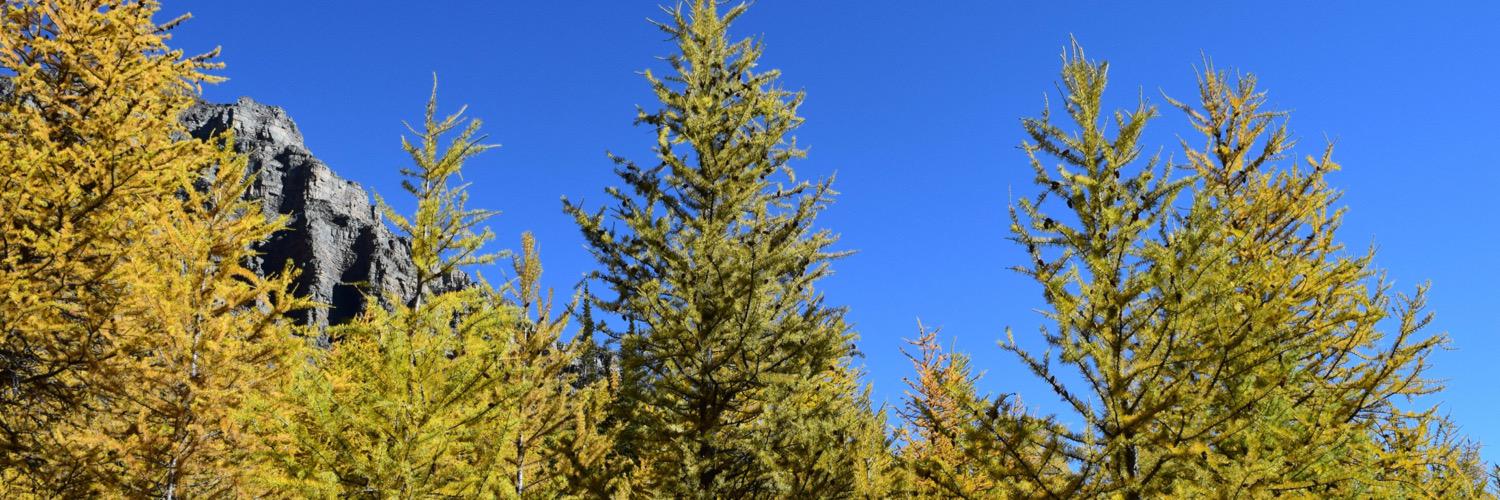 mackingood's profile banner image