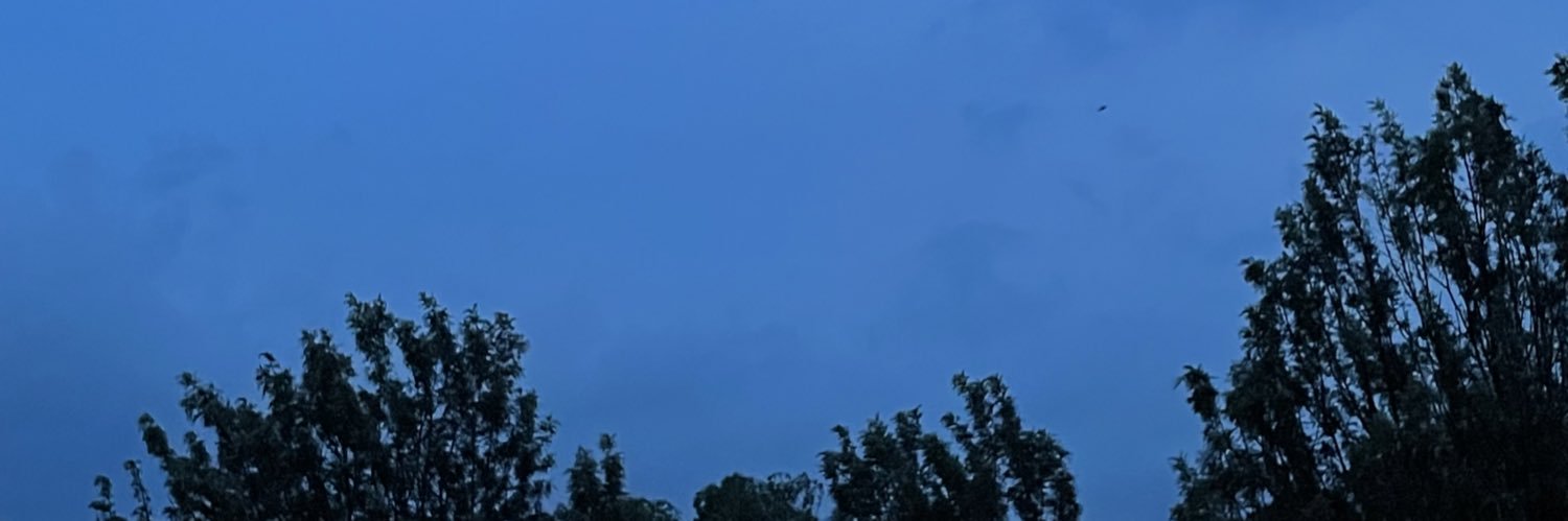 aracaaast's profile banner image
