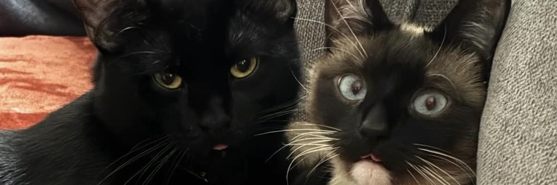 lesftdt's profile banner image