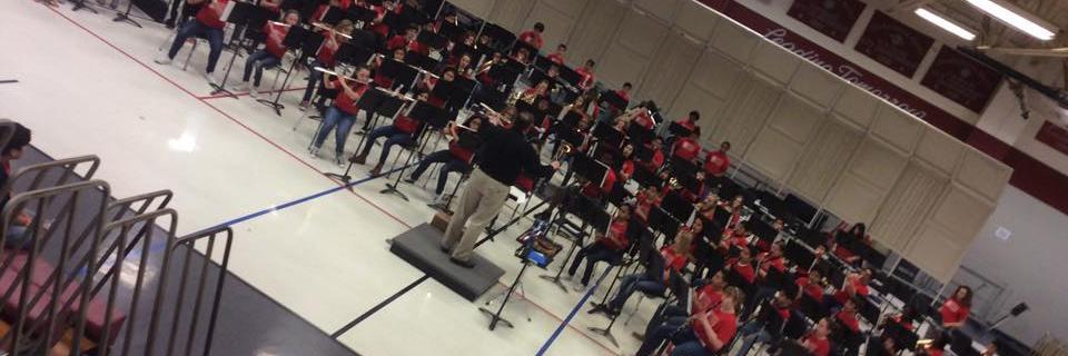 Brandenburg MS Band banner