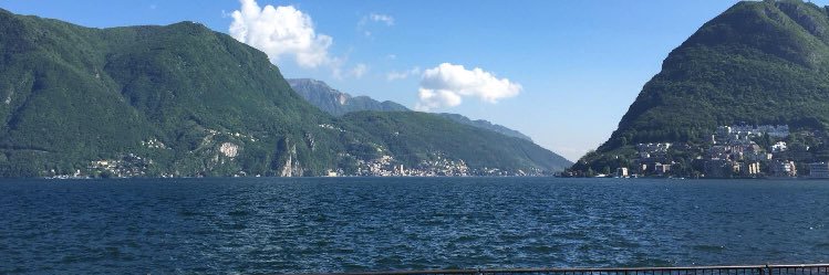 طير شلوى banner