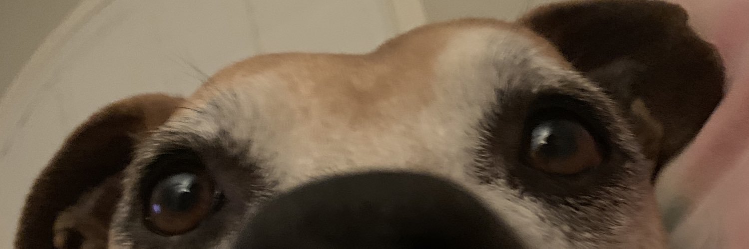 savnhendricks's profile banner image