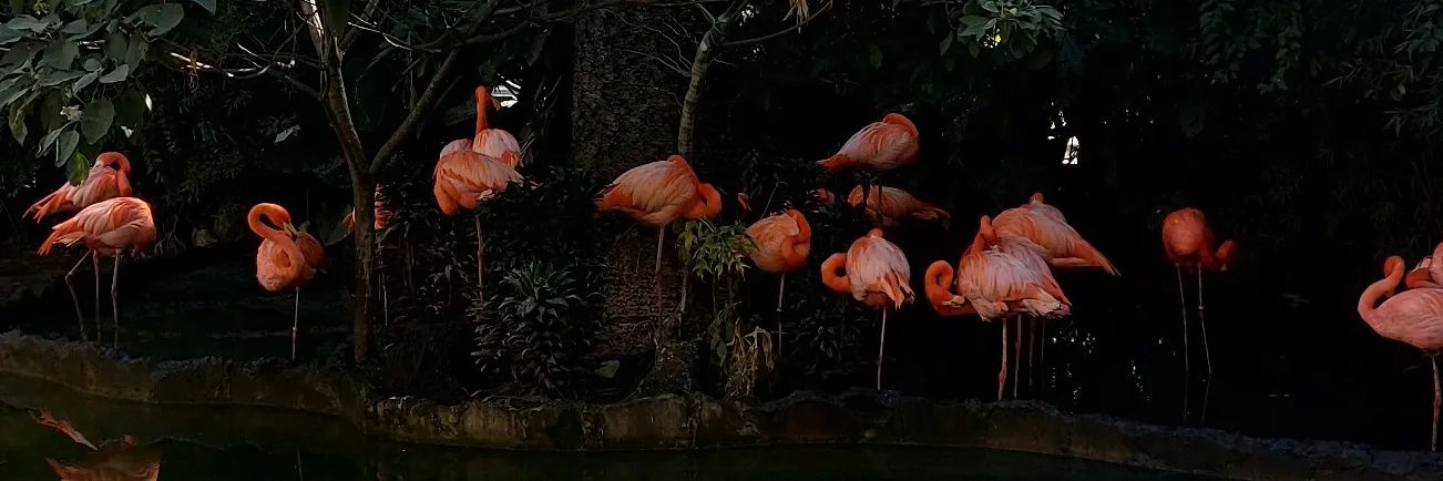 xdrrrreaaa____'s profile banner image