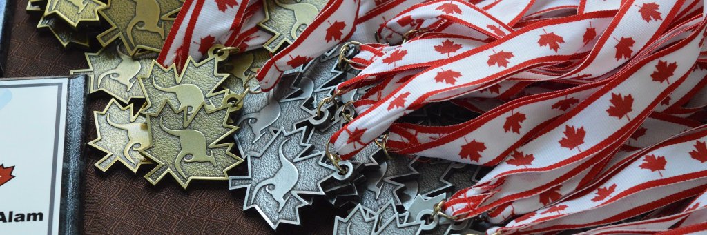 Math Kangaroo banner