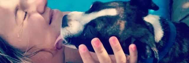 CaroBayut's profile banner image
