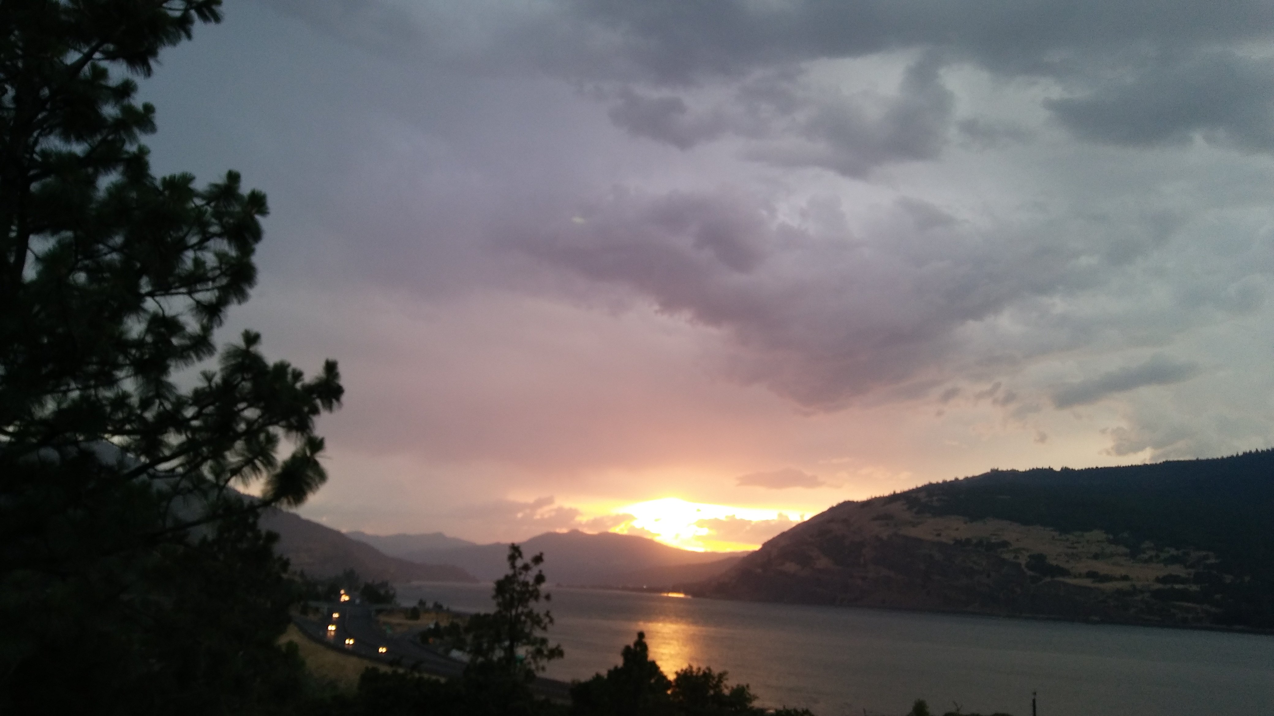 Rubye Jack 🏡 banner