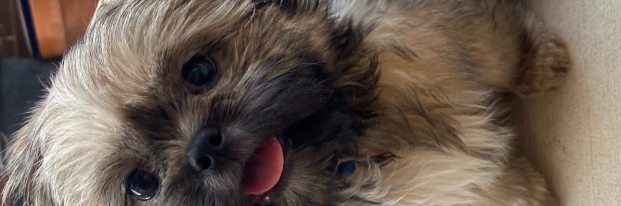 _rawwwbert_'s profile banner image