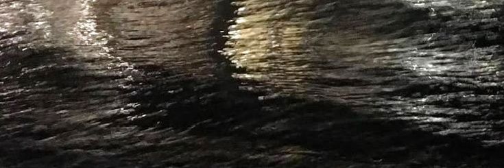 َ banner