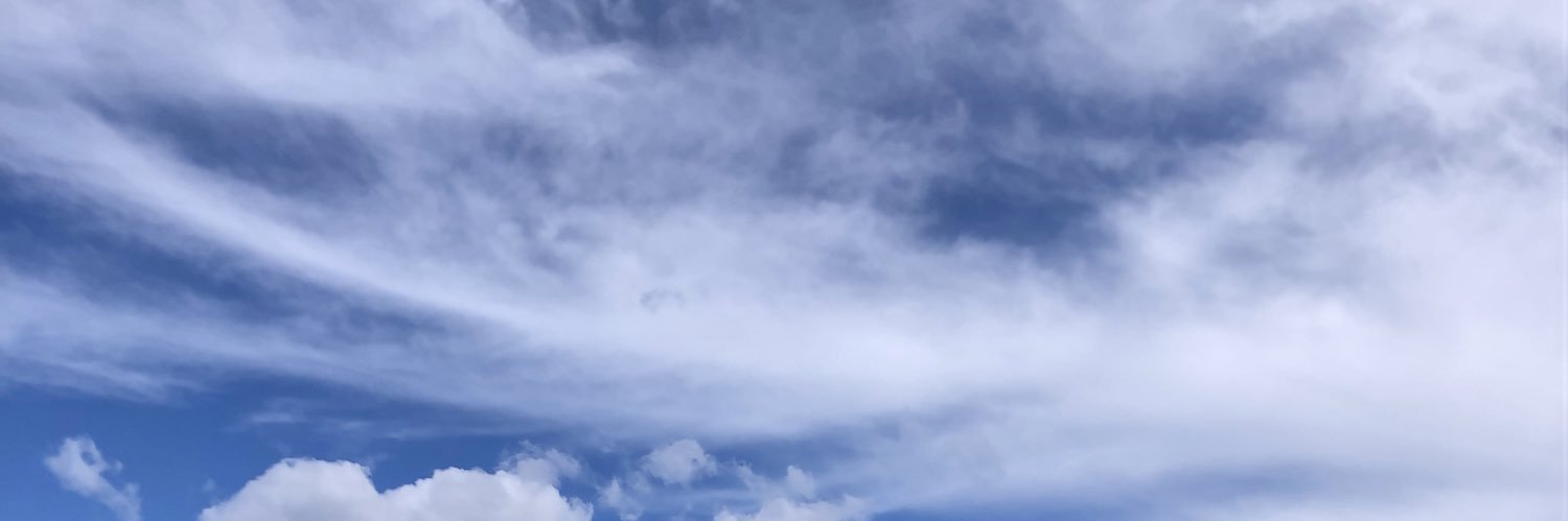 _sL19_'s profile banner image