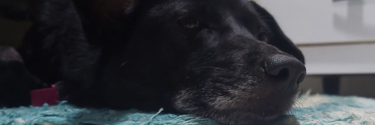 0drigues's profile banner image
