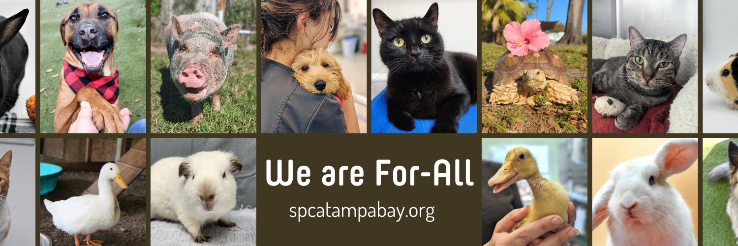 SPCATampaBay's profile banner image
