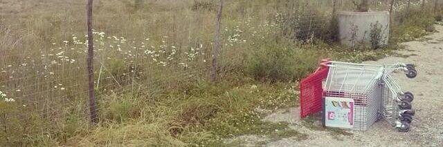 Alex Orden Lanchas banner