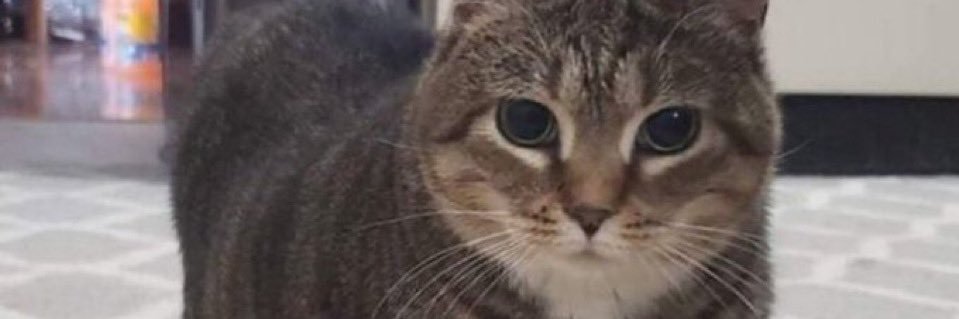 damndayvid's profile banner image