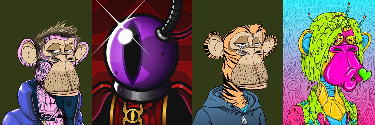 Hollander 🇳🇱 banner