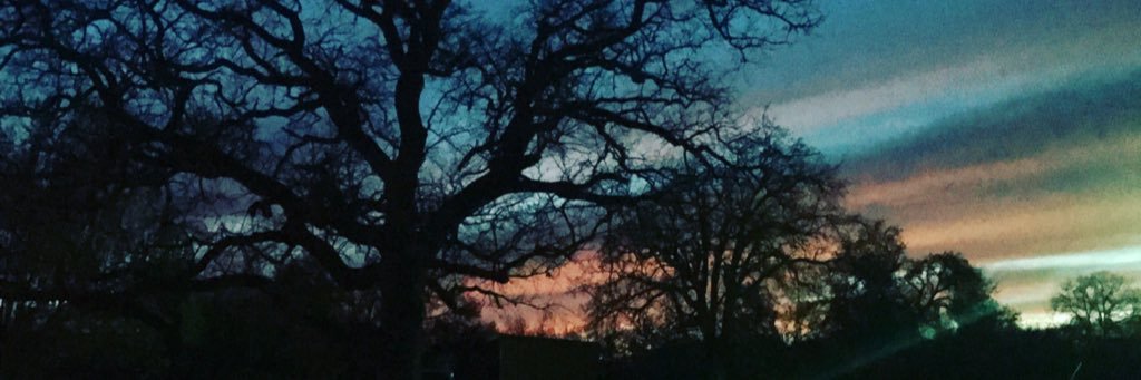 stburg13's profile banner image