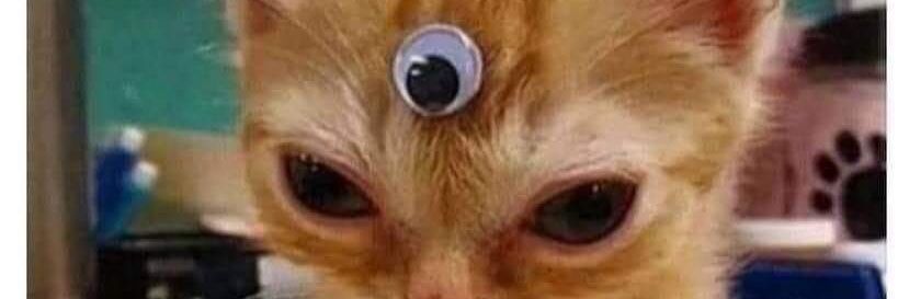 salazarr77's profile banner image