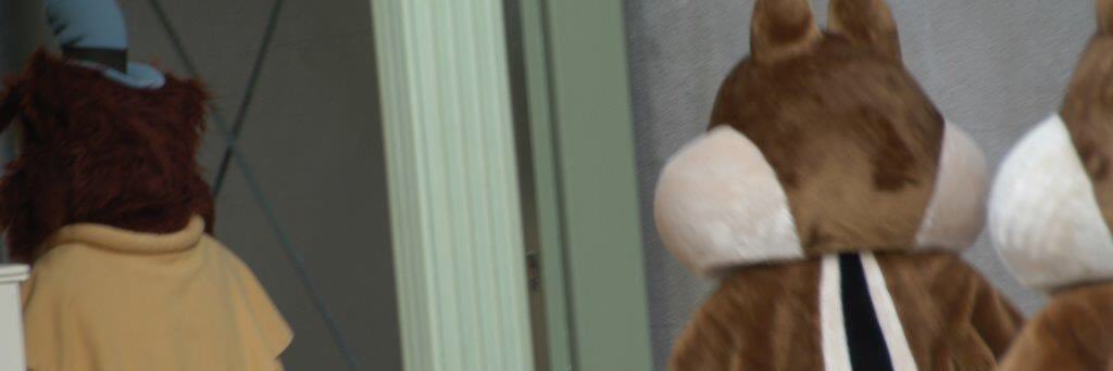 C_Daleeee's profile banner image
