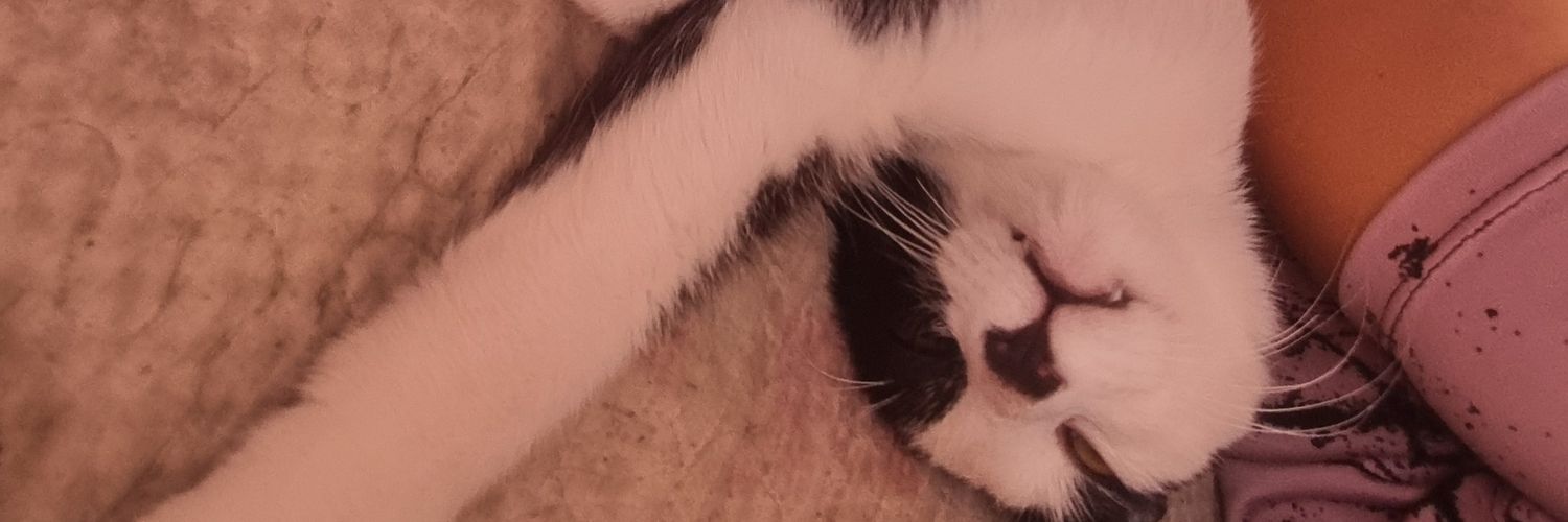 AniFazzito's profile banner image