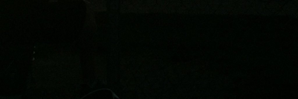 youngbrini's profile banner image