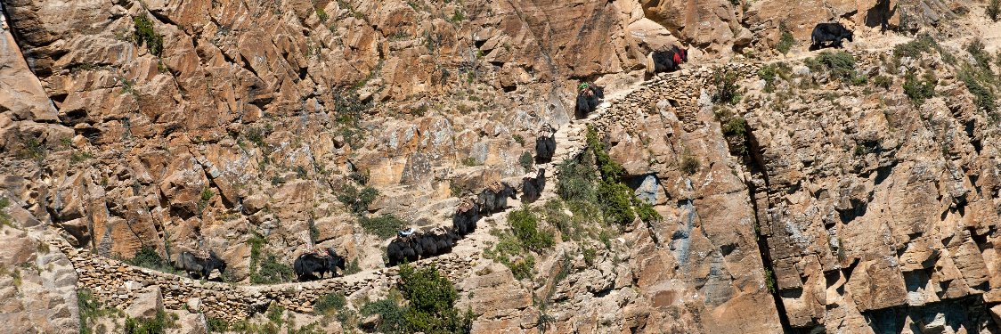 up_everest's profile banner image