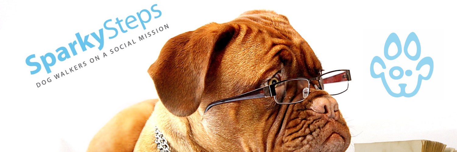 SparkySteps's profile banner image
