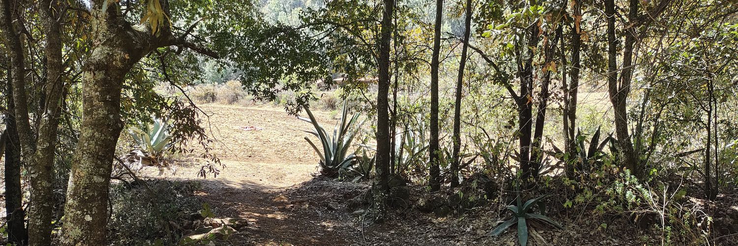 Antonio Tapia banner