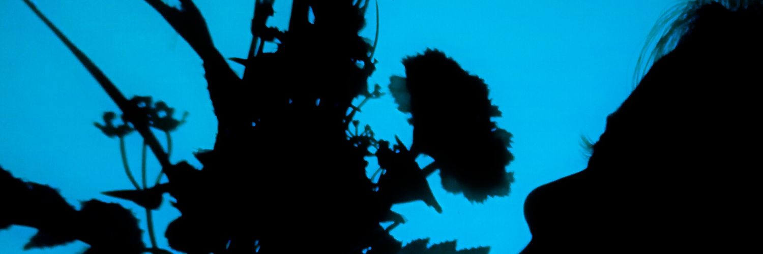 maulida22's profile banner image