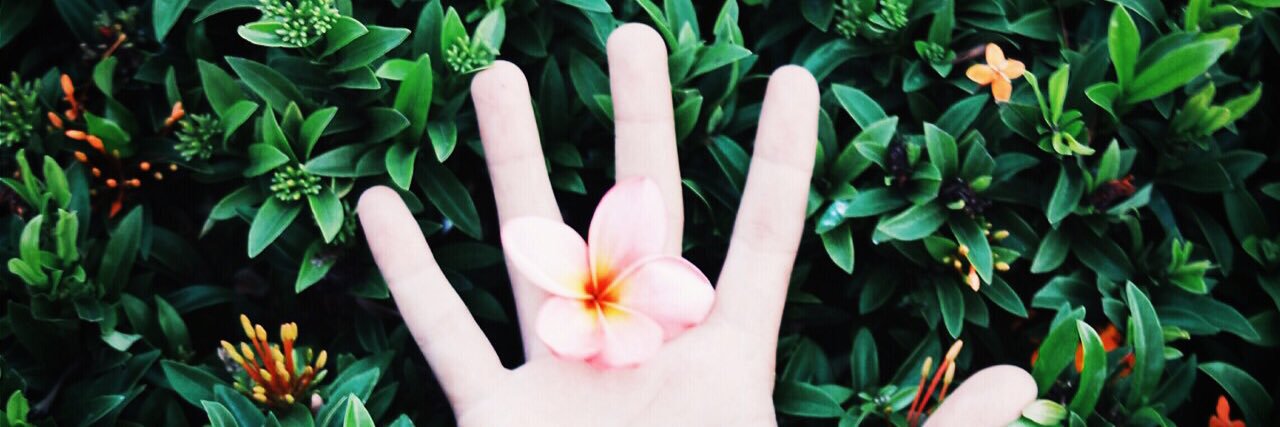 TuForKub's profile banner image