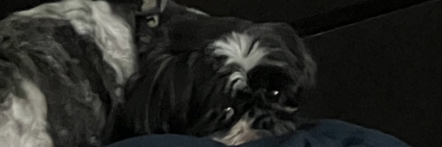 timewonttell's profile banner image