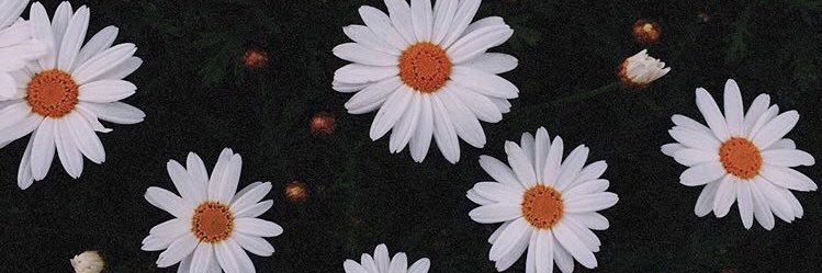 ale_bugg's profile banner image