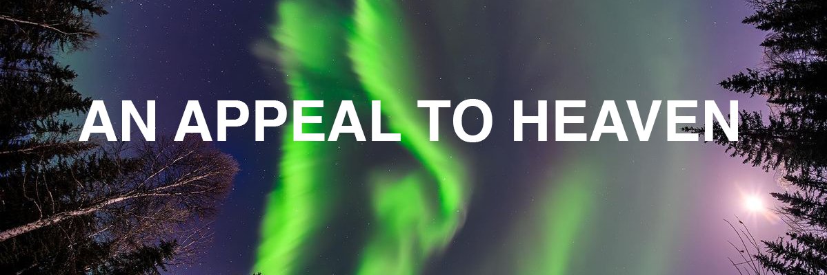 ❤️‍🔥🌲◯☽◑ᛝNaomiᛝ◐❨◯☸️☯️ banner