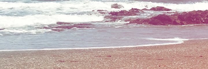 MiaBrockman's profile banner image